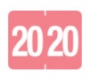 TLY20 - 2020